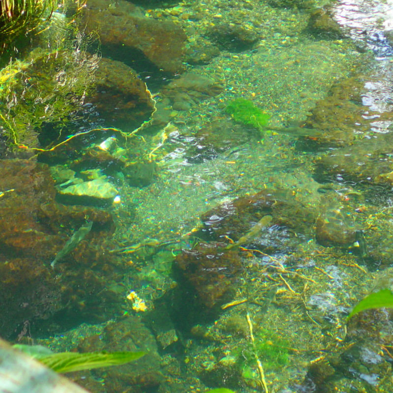 e0212759_22400323.jpg