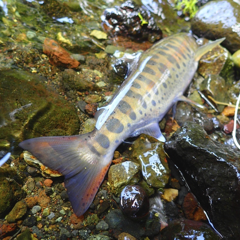 e0212759_22410829.jpg