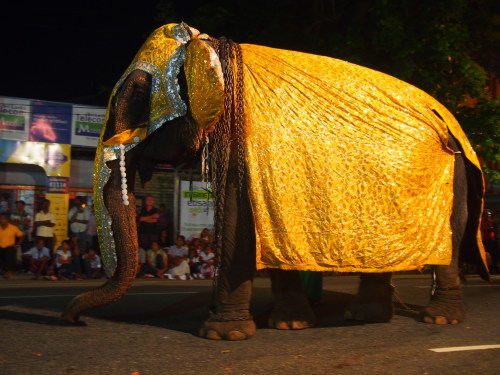 c0351060_21065651.jpg