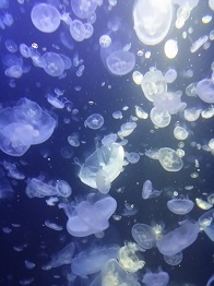 e0230760_23113625.jpg