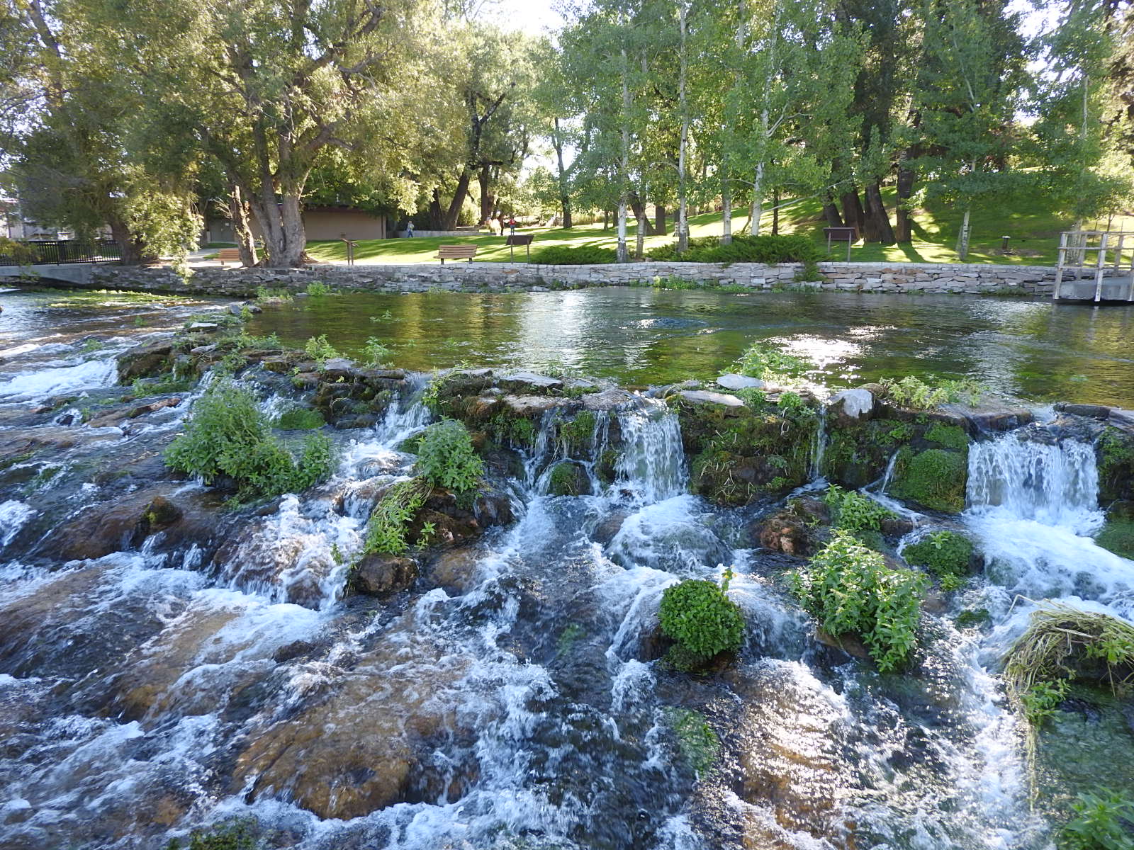 c0115366_8393242.jpg