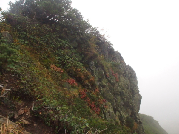 c0321967_08315967.jpg