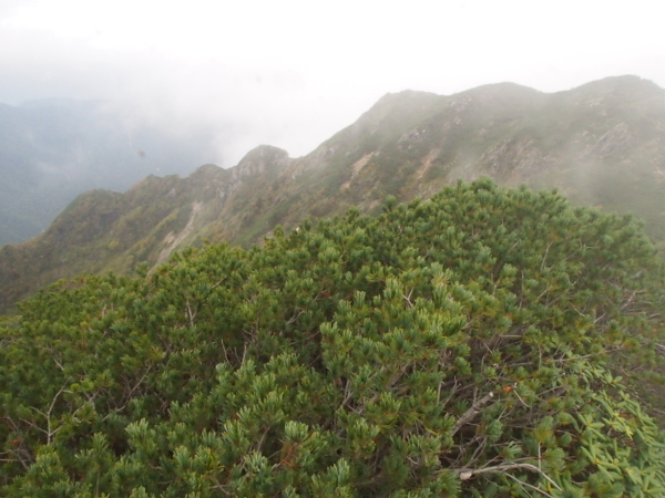 c0321967_17540350.jpg