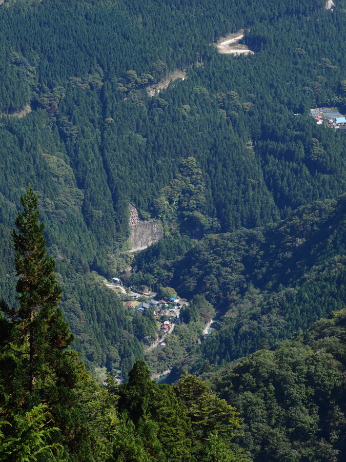 a0049978_11224848.jpg