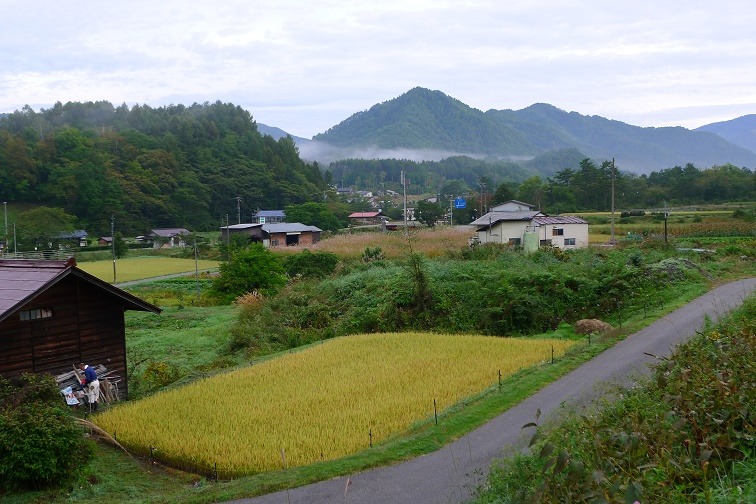 a0130586_895139.jpg