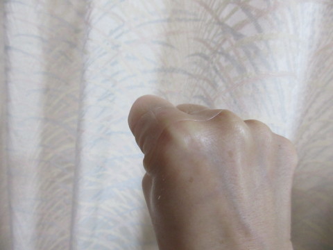 c0310987_12054869.jpg