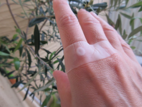 c0310987_12054994.jpg