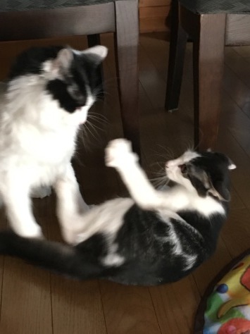 d0101787_15110870.jpeg