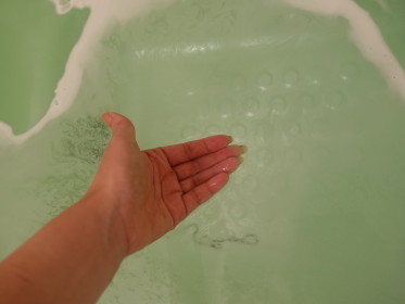 c0172698_7432685.jpg