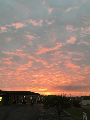 e0049318_11323913.jpg