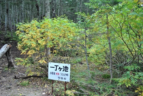 f0000521_8294329.jpg