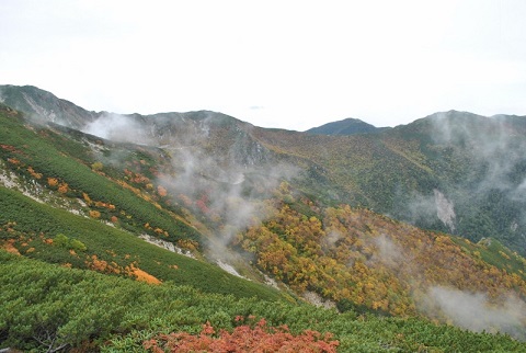 f0000521_8463190.jpg