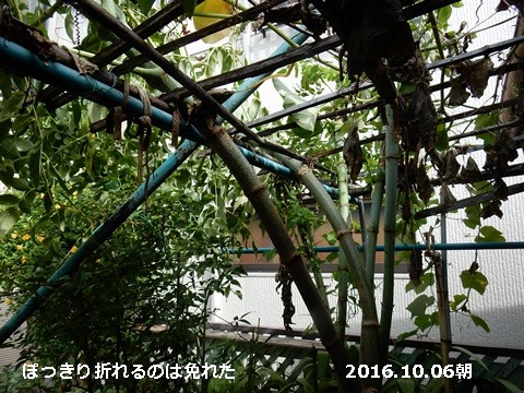 e0033229_14234198.jpg