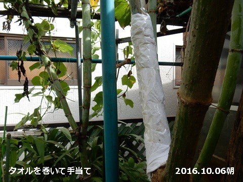 e0033229_14291673.jpg