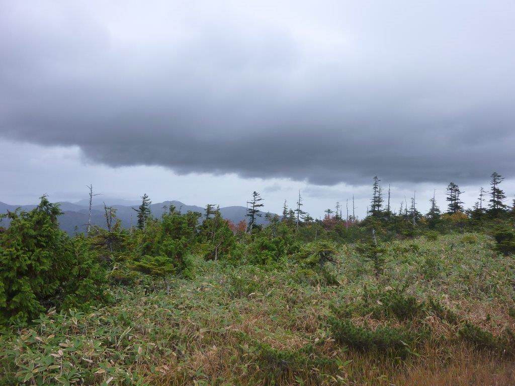 b0298935_15270743.jpg