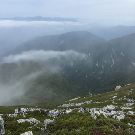 c0090236_00143381.jpg