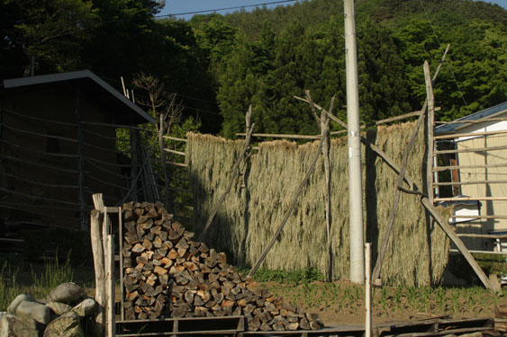 f0147037_212256100.jpg