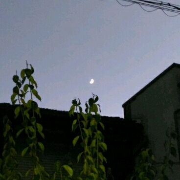 d0343540_19341823.jpg