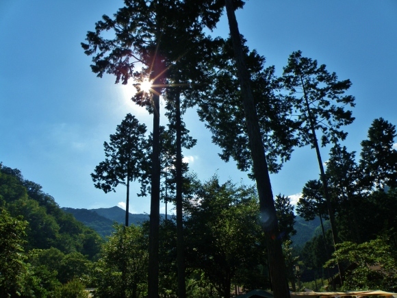 e0338541_00075056.jpg