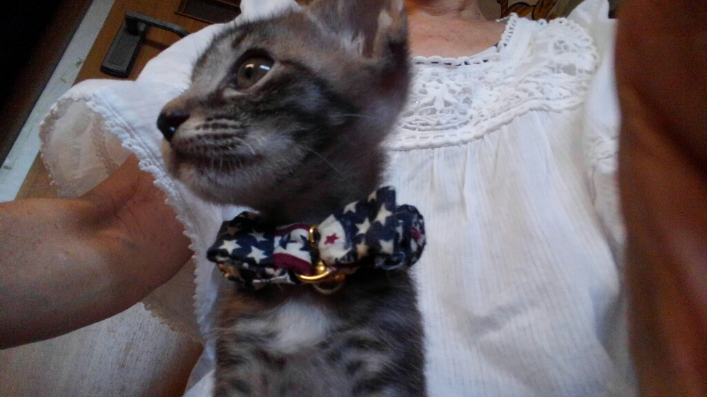 c0194042_20523912.jpg