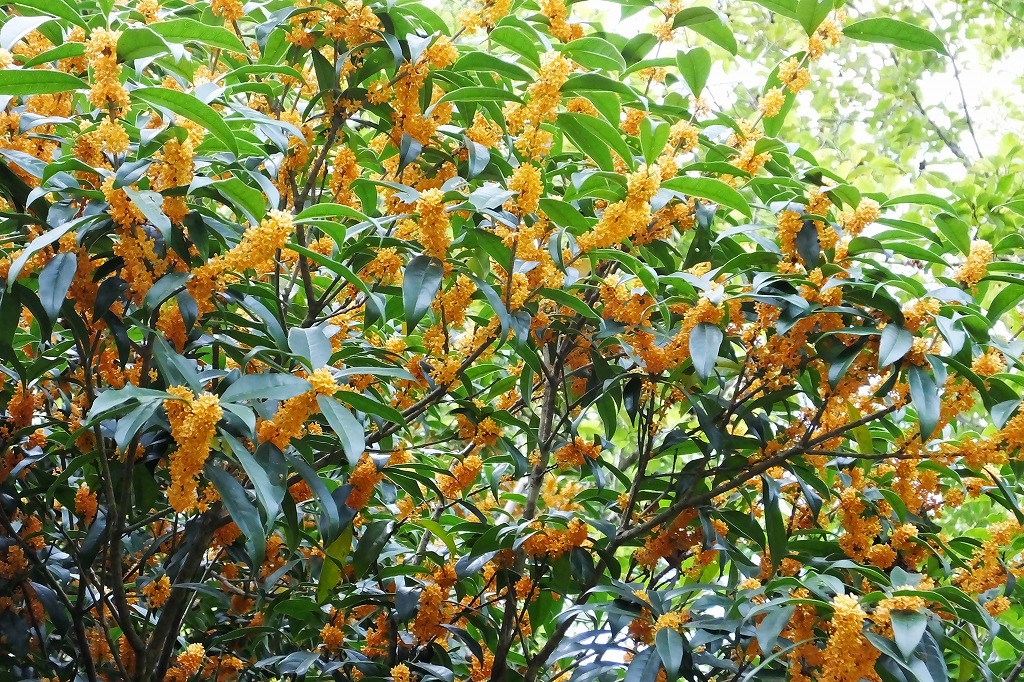 b0236251_14411654.jpg