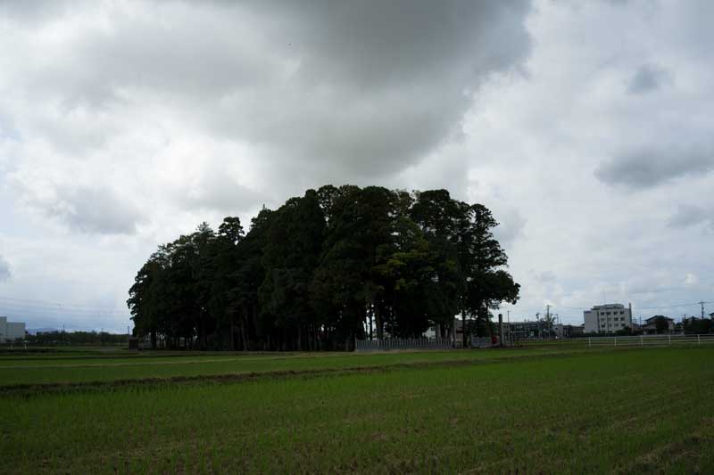 d0342652_16133047.jpg