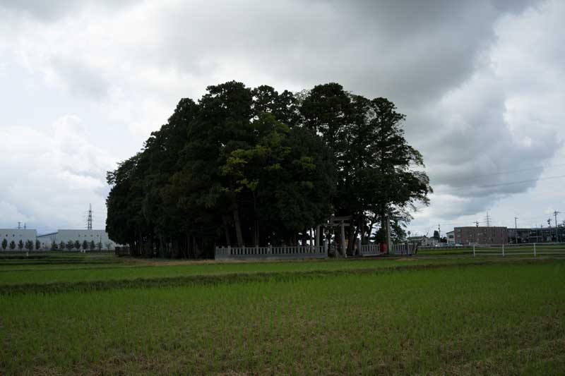 d0342652_1613486.jpg