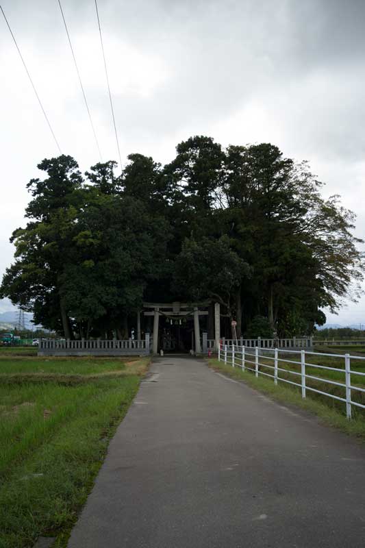 d0342652_16142386.jpg