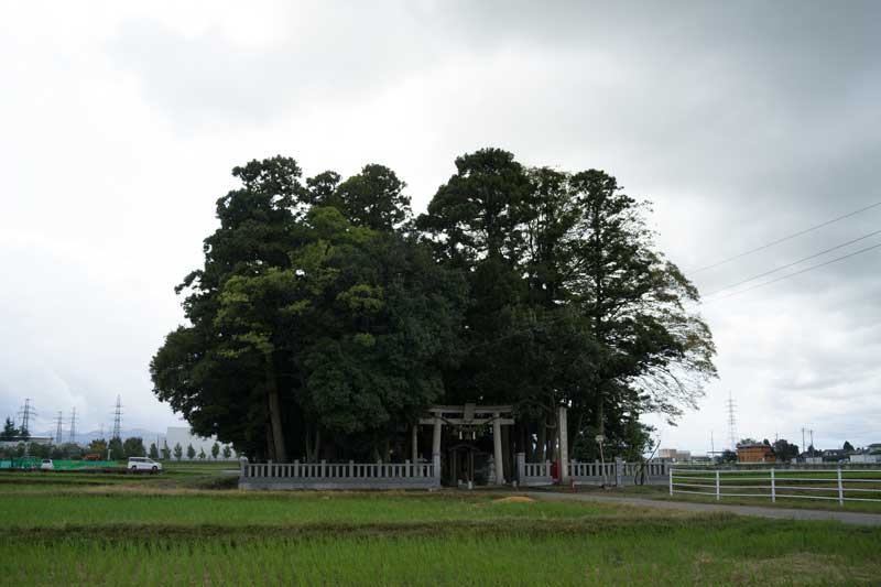 d0342652_1614648.jpg