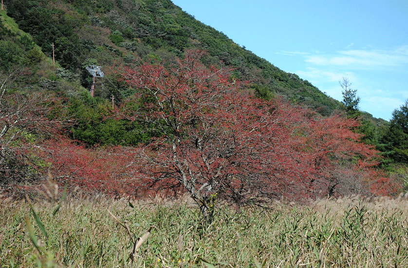 a0001354_19513693.gif