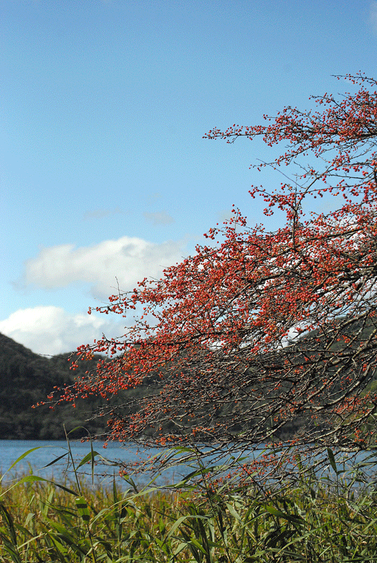 a0001354_19531356.gif