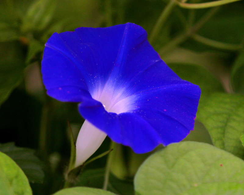 c0305565_17430043.jpg