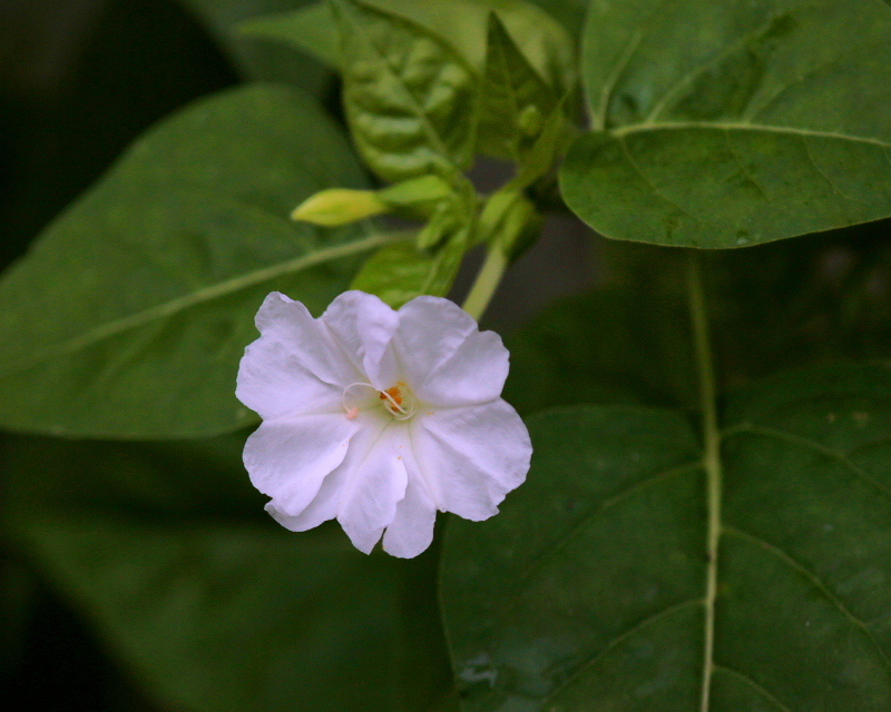 c0305565_17431033.jpg