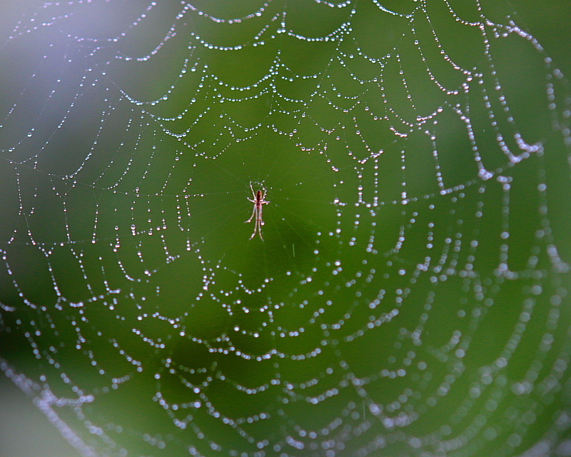 c0305565_17444269.jpg