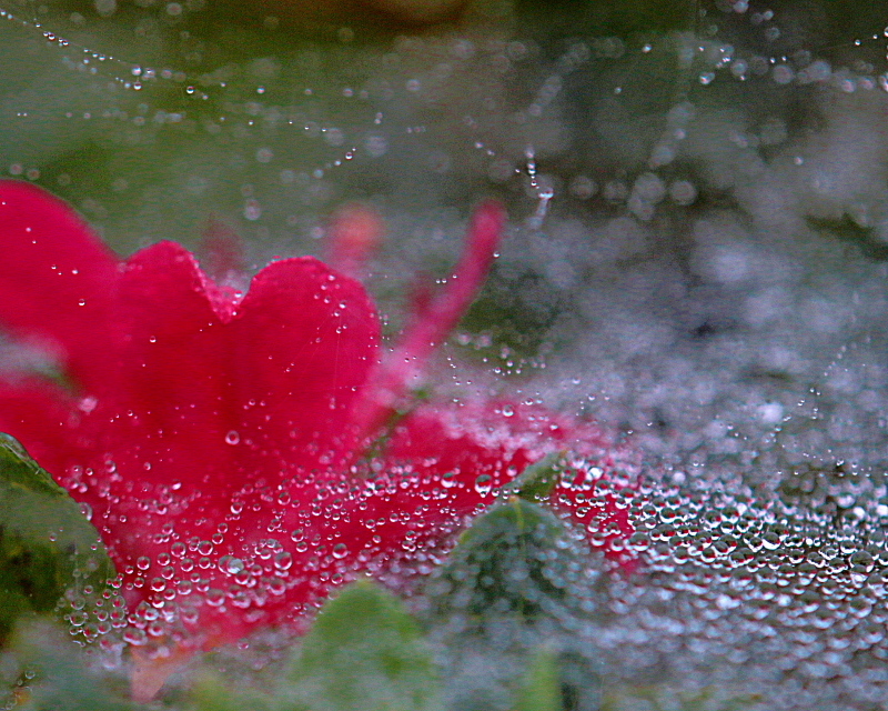 c0305565_17452520.jpg
