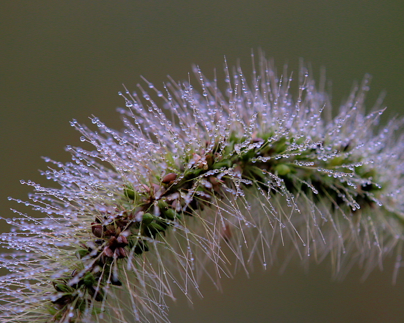 c0305565_17454300.jpg