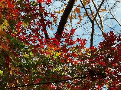 b0171771_18362313.jpg
