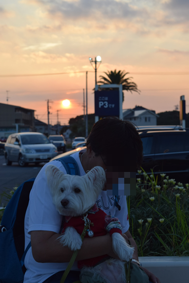 b0242873_19364021.png