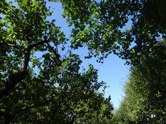 c0334773_22462591.jpg