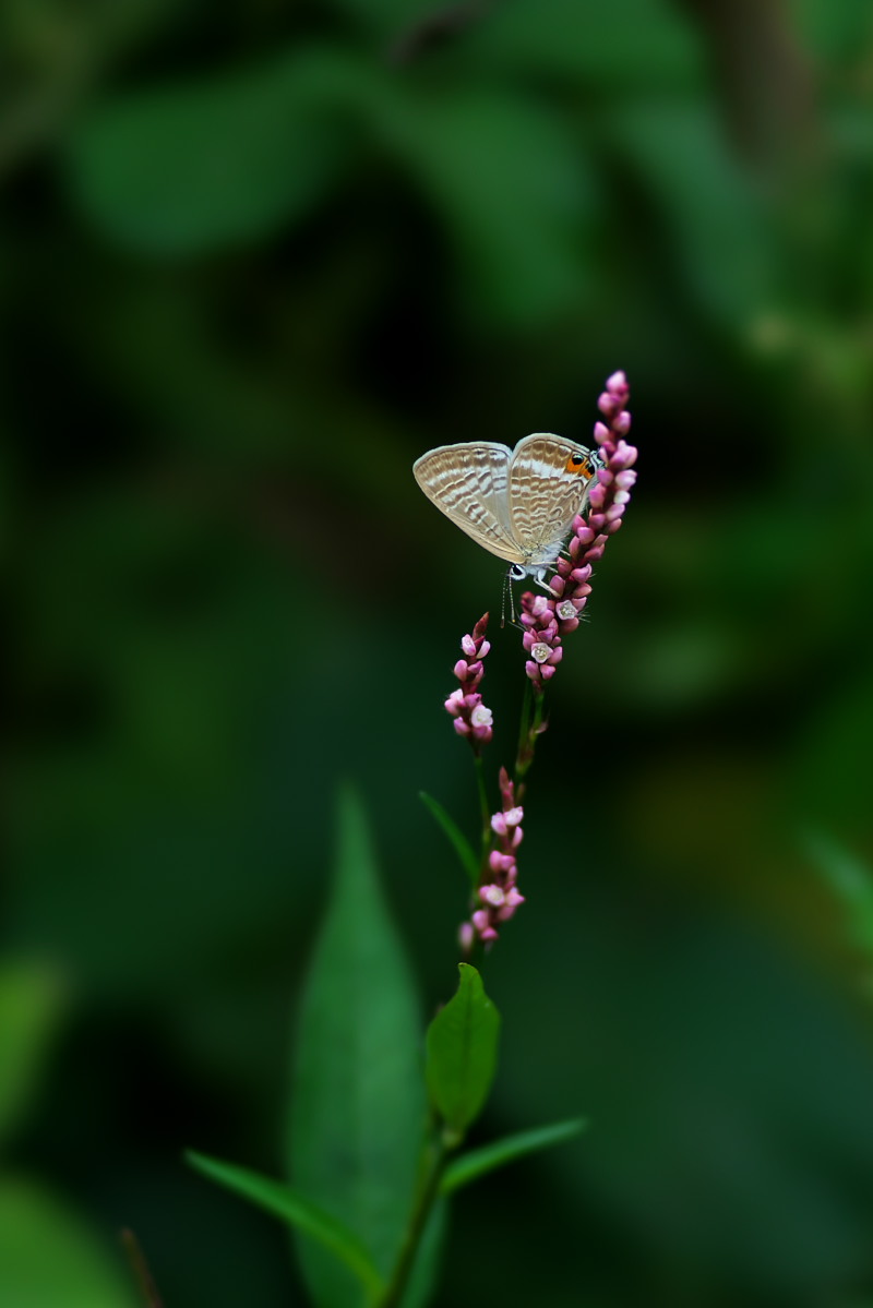 a0083081_17564627.jpg