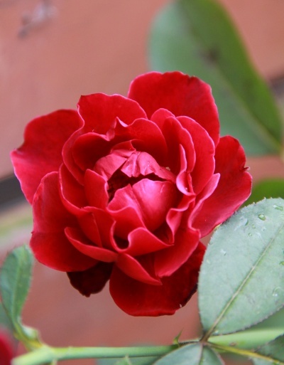 e0154682_23552533.jpg