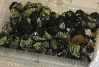 f0003283_11015683.jpg
