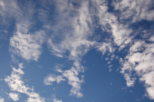 c0204385_21220019.jpg