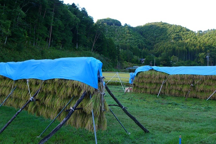 a0130586_8281473.jpg