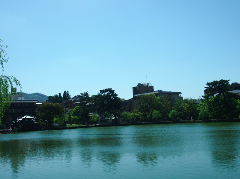 a0146493_15461846.png
