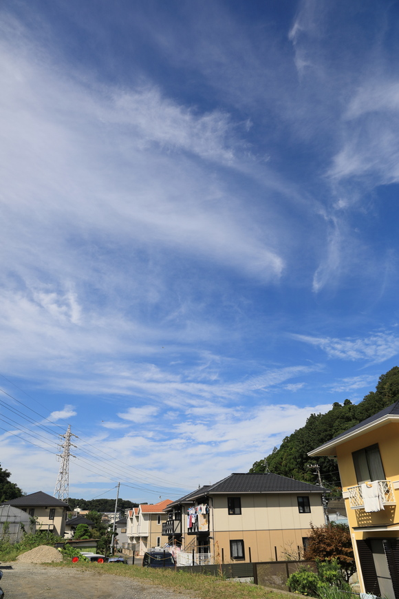 b0275998_11274494.jpg