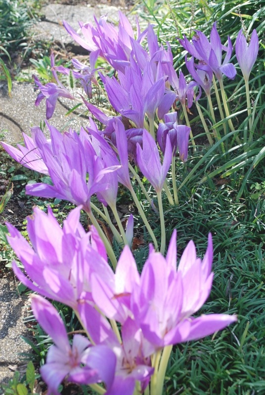 e0025300_20444574.jpg
