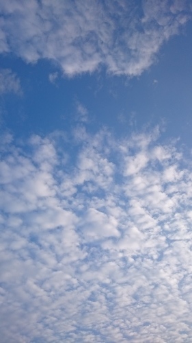 e0351303_23424569.jpg