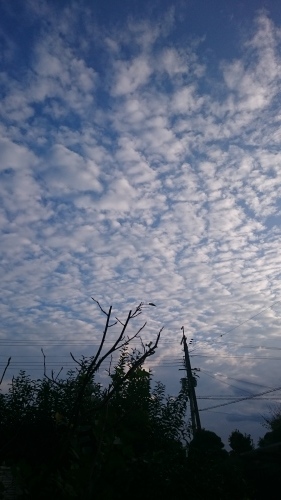 e0351303_23544963.jpg