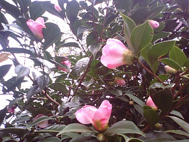f0231709_31520100.jpg